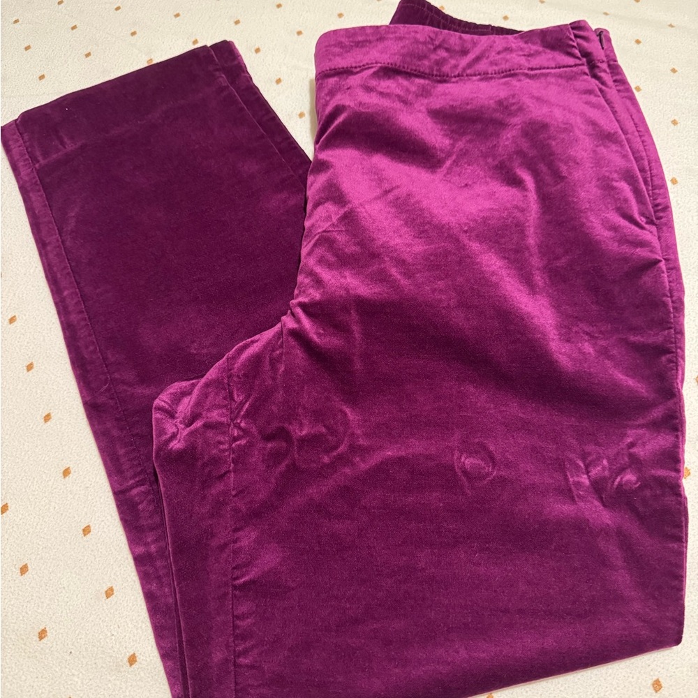 J.Jill Sugarbeet Velvet Pants